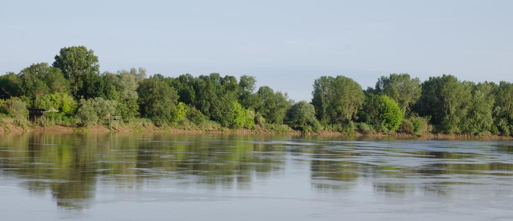 Bed and Breakfast Chateau Beau-Site Portets Екстер'єр фото